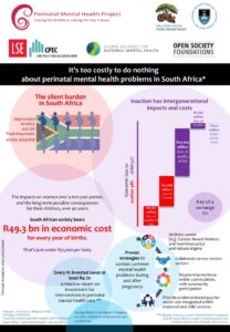 Infographic used to present findings to stakeholders in South Africa